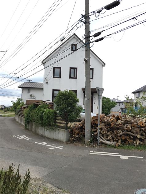 電柱 風水|玄関前に電柱や木が一本ある